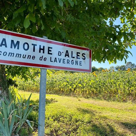 Gite Confort A Lamothe D Ales Lavergne  Kültér fotó