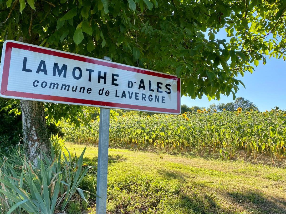 Gite Confort A Lamothe D Ales Lavergne  Kültér fotó